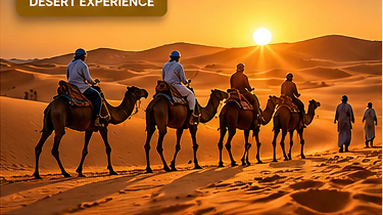 Sahara Desert Experience illustrative artwork